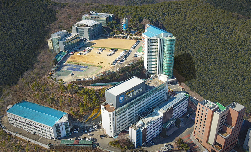 Anyang University image